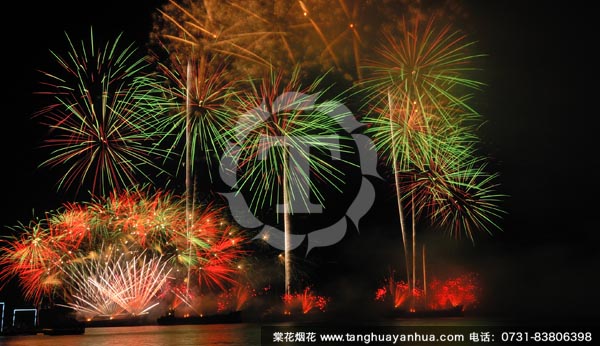棠花烟花绽放西博会