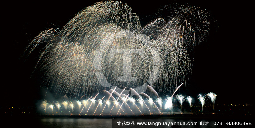 棠花烟花绽放西博会